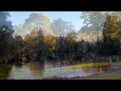 Видео: Александровский парк. Пушкин. 2025 год.