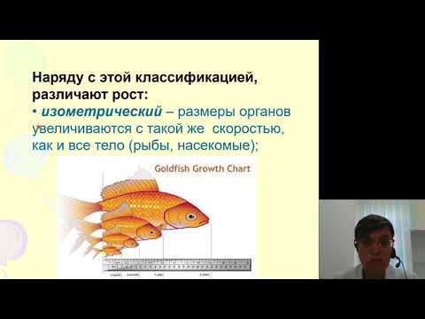 Видео: Биология 3.Постэмбриональный период онтогенеза