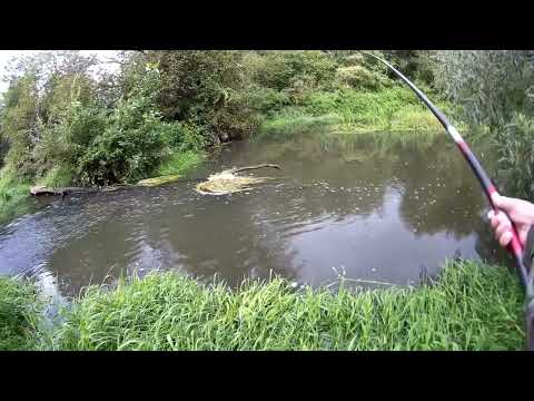Видео: 08 сентября 2022 года  БОКОВОЙ кивок на малой Подмосковной речушке!