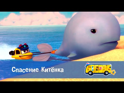 Видео: Школьный автобус🚌 Гордон. Сезон 3 - Серия 4. Спасение Китенка - Мультфильм