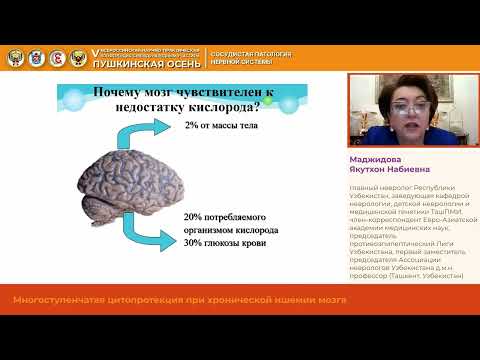 Видео: Маджидова Якутхон Набиевна Многоступенчатая цитопротекция при хронической ишемии мозга