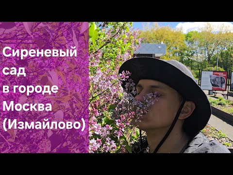 Видео: ПЕРВЫЙ РАЗ посетил СИРЕНЕВЫЙ САД В МОСКВЕ! Красивое место #этовлад