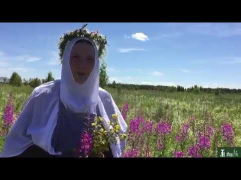 Видео: Монастырский чай