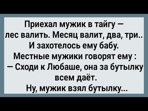 Видео: Как Мужик в Тайге к Любаше Ходил! Сборник Свежих анекдотов! Юмор!