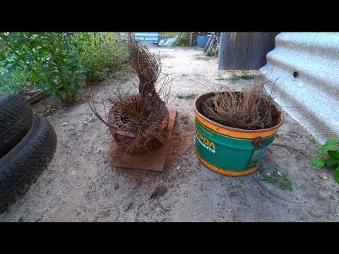 Видео: Извлекаю медь! Разбираю скромные находки на молекулы из цветного металла
