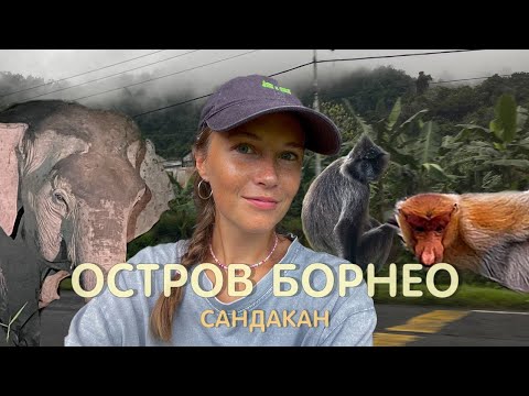 Видео: Малайзия. Самостоятельное путешествие по Сандакану