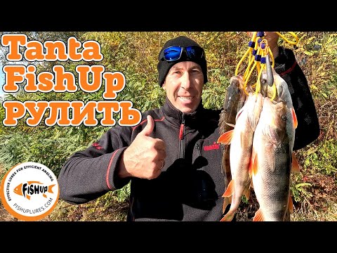 Видео: ✅ ОКУНЬ.  Tanta FishUp рулить !  ✅