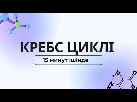 Видео: КРЕБС циклі || ӨТЕ ОҢАЙ ТІЛМЕН