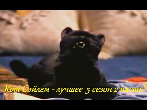 Видео: Кот Сэйлем - лучшие моменты 5 сезон 2 часть