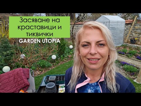Видео: Експерименти: Засяване на КРАСТАВИЦИ и ТИКВИЧКИ, Градина на три сестри