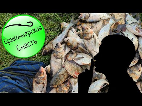 Видео: ЭТА СНАСТЬ ИСТРЕБИТ ВСЕГО ТОЛСТОЛОБИКА  - СЕКРЕТ БРАКОНЬЕРОВ НА ПОЛЬЗУ РЫБАКАМ ! 💥