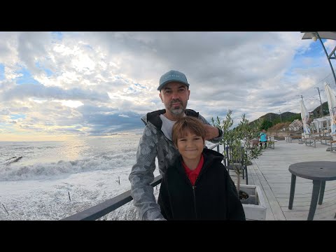 Видео: Головинка, 33 водопада и Тюльпановое дерево.