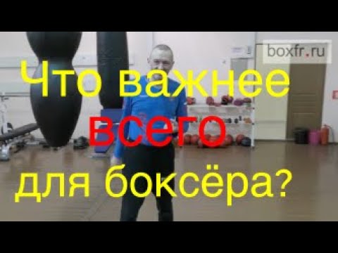 Видео: Что важнее для боксёра - скорость, сила, выносливость?