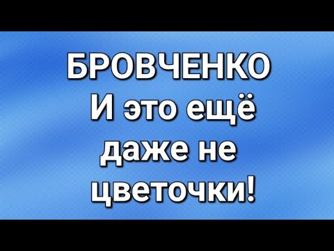 Видео: Бровченко/Последние новости. 