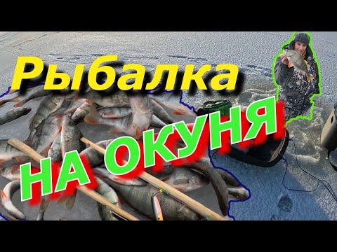 Видео: Ловля окуня на Псковском озере, второй день на рыбалке!!!