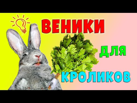 Видео: Заготовка веников для кроликов