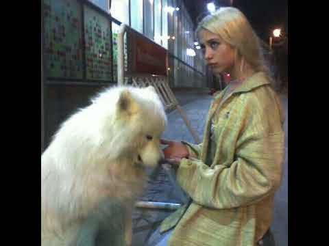 Видео: HOFMANNITA - Щеночек (speed up)