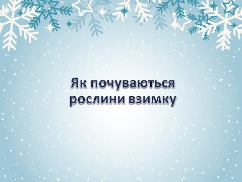 Видео: Як почуваються рослини взимку. 2 клас