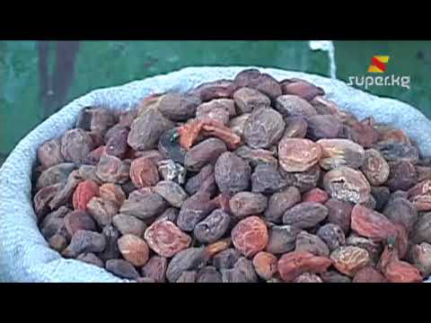 Видео: Өрүк жөнүндө билип алыңыз