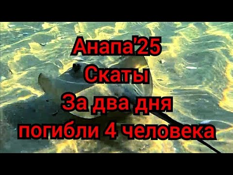 Видео: #Анапа #четыре смерти в шторм #скаты