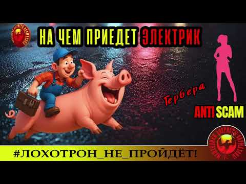 Видео: Гербера🔥✅АЦЦКИЙ СТЁБ И ТРОЛЛИНГ🔴МОШЕННИКИ, СКАМ, ФРОД, КРИМИНАЛ