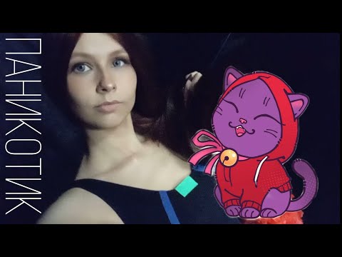Видео: Новогодний Паникотик