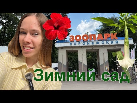 Видео: ЗИМНИЙ САД в Воронежском зоопарке | Обзор оранжереи и клумб в парке