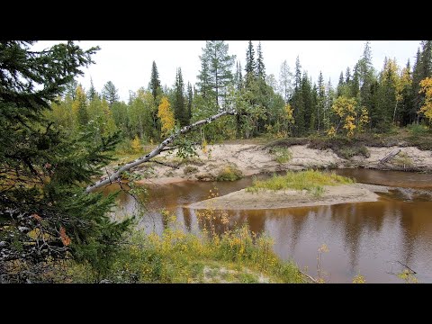 Видео: К речке на шашлык