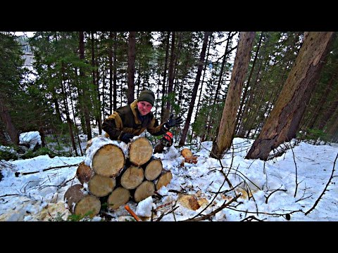 Видео: Заготовка дров в деревне. Готовим дрова в лесу.