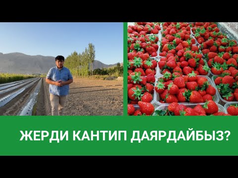 Видео: Жерди туура кантип даярдайбыз?