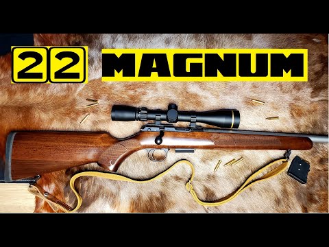 Видео: 22 MAGNUM: мой любимый патрон для мелкой дичи