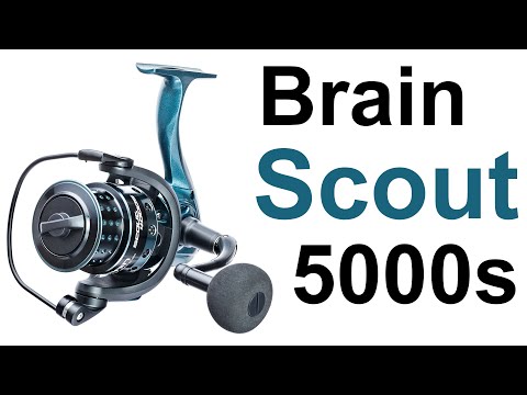 Видео: Brain Scout 5000S - Обзор с Разбором Катушки