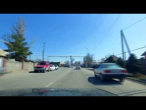Видео: Жаркент 22.03.23