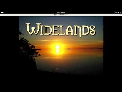 Видео: Играю в Widelands на Linux RISC-V