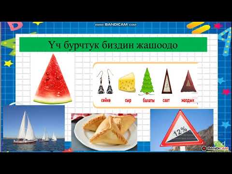 Видео: Математика 5-класс. Тема: Үч бурчтук жана анын түрлөрү. Мугалим: Сагыналы кызы Бактыгүл