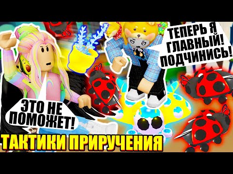 Видео: ПРИРУЧАЕМ РЕДКИХ НОВЫХ ПЕТОВ В ОБНОВЛЕНИИ АДОПТ МИ! Roblox Adopt Me