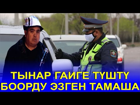 Видео: ТЫНАРДЫ ГАИ ЭМНЕГЕ ТОКТОТТУ//ХАХА ТАМАША//КАНЫБЕК,ТЫНАР