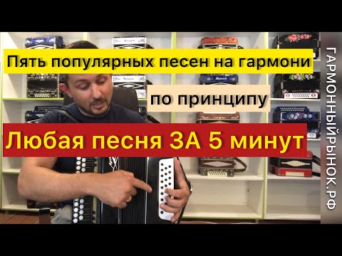 Видео: Популярные песни на гармони по принципу ЛЮБАЯ ПЕСНЯ НА ГАРМОНИ ЗА 5 минут 😉✊🏻