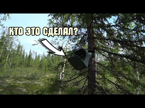 Видео: Кто сбил мою фотоловушку в лесу?