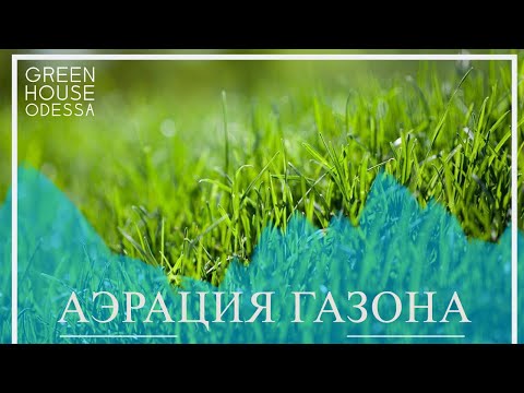 Видео: Аэрация газона