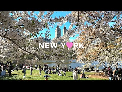Видео: 4K🇺🇸Солнечный весенний день в Центральном парке🌞, Нью-Йорк | Расслабляющая прогулка и цветущие виды🌸