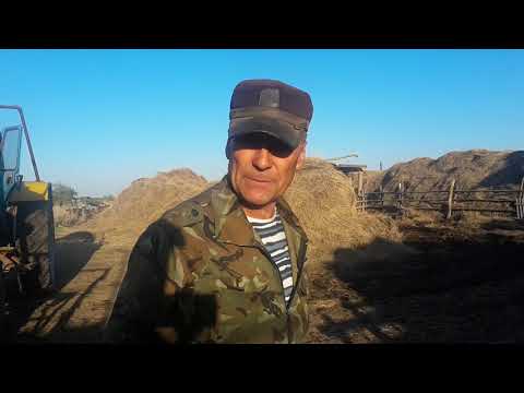 Видео: Погрузка навоза продолжается и почему не ломает зубья на вилах КУНа.