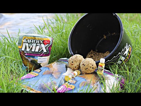 Видео: Захранка за БЕЛИ МРЕНИ