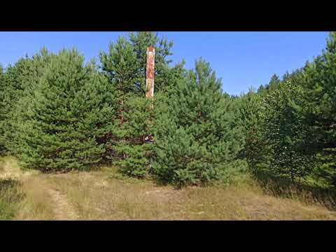 Видео: Турбаза Керженец (завод Орбита) много лет спустя