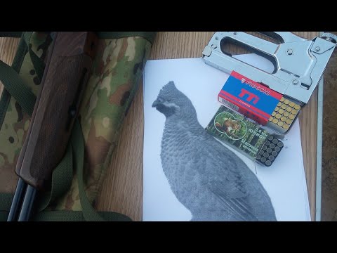 Видео: Наконец то получил, разрешение съездил отстрелял МР-94 север,я в полне доволен! Жду советов......