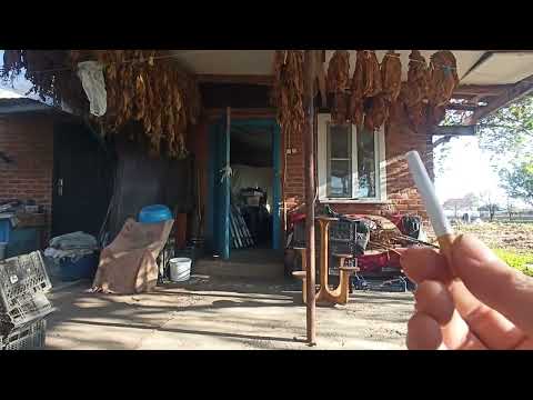 Видео: Bolivian Black дегустация. 31.10.2023