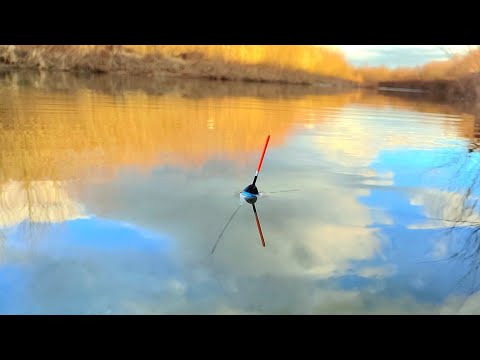 Видео: Рибалка 2024. ЗИМА, а Сезон Відкрив з Карася НА ПОПЛАВОК