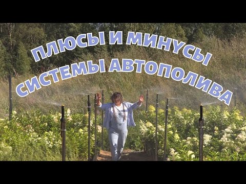 Видео: Плюсы и минусы системы автополива