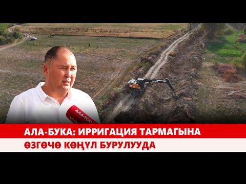 Видео: Ала-Бука: Ирригация тармагына өзгөчө көңүл бурулууда