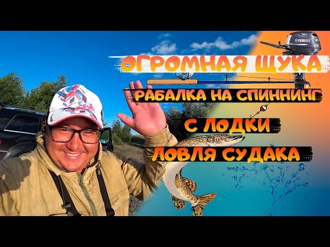 Видео: Огромная щука. Рыбалка 2021. Рыбалка на воблер. Ловля щуки на спиннинг. fishing
